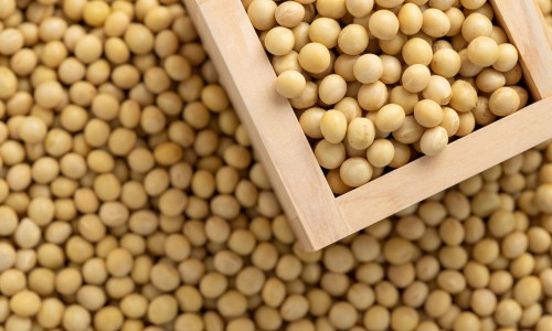 小牛血去蛋白提取物注射用量-小牛去蛋白提取物注射液说明书网 - 小牛去蛋白提取物眼用凝胶伤口能用吗,小牛去蛋白提取物眼用凝胶怎么用
